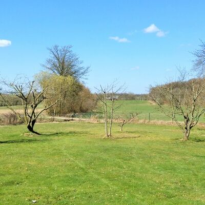 Geschnittene Hecken und Bäume auf einer Wiese