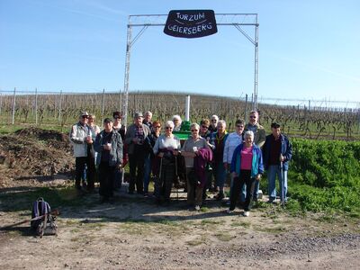 Gruppenfoto mit 17 älteren Männern und Frauen in Wanderkleidung zum Teil mit Stöcken vor einem Weinberg.