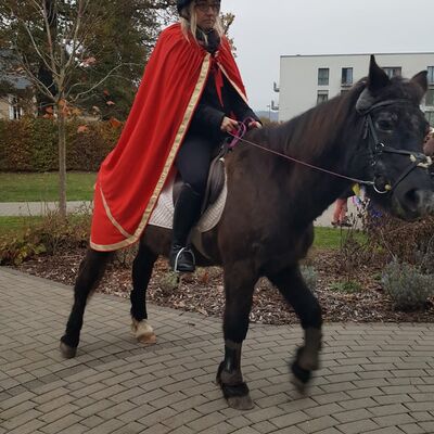 Bild mit Pferd und Reiterin, die einen roten Mantel trägt