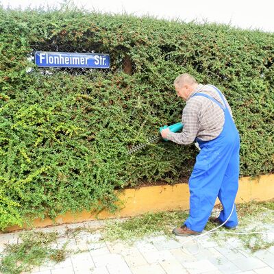 Mann beim Heckenschneiden