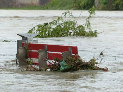 rote Parkbank an der Treibgut hängst steht in einem durch einen Fluss überfluteten Park